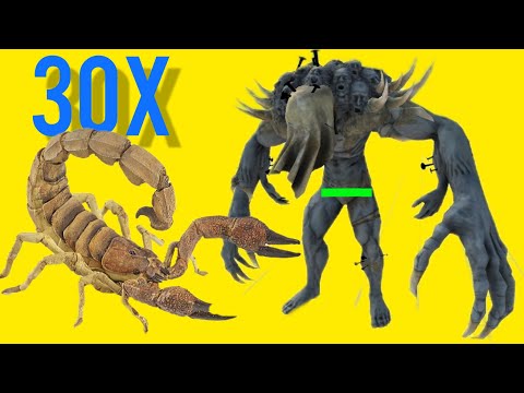 30X scorpions VS Scourge. ARBS mobile | Animal Revolt Battle Simulator