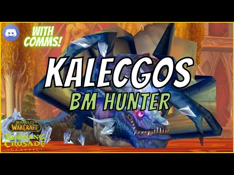 Sunwell Kalecgos BM Hunter PoV (Comms included)