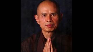 Talk: Introduction to Mindfulness Meditation (Thich Nhat Hanh) | 58 min