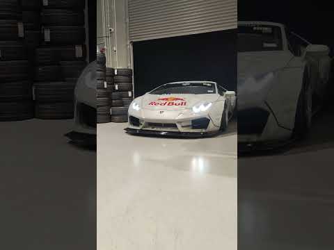 Mad Mike's Bagged Lambo