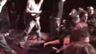 The Red Chord-Dreaming In Dog Years