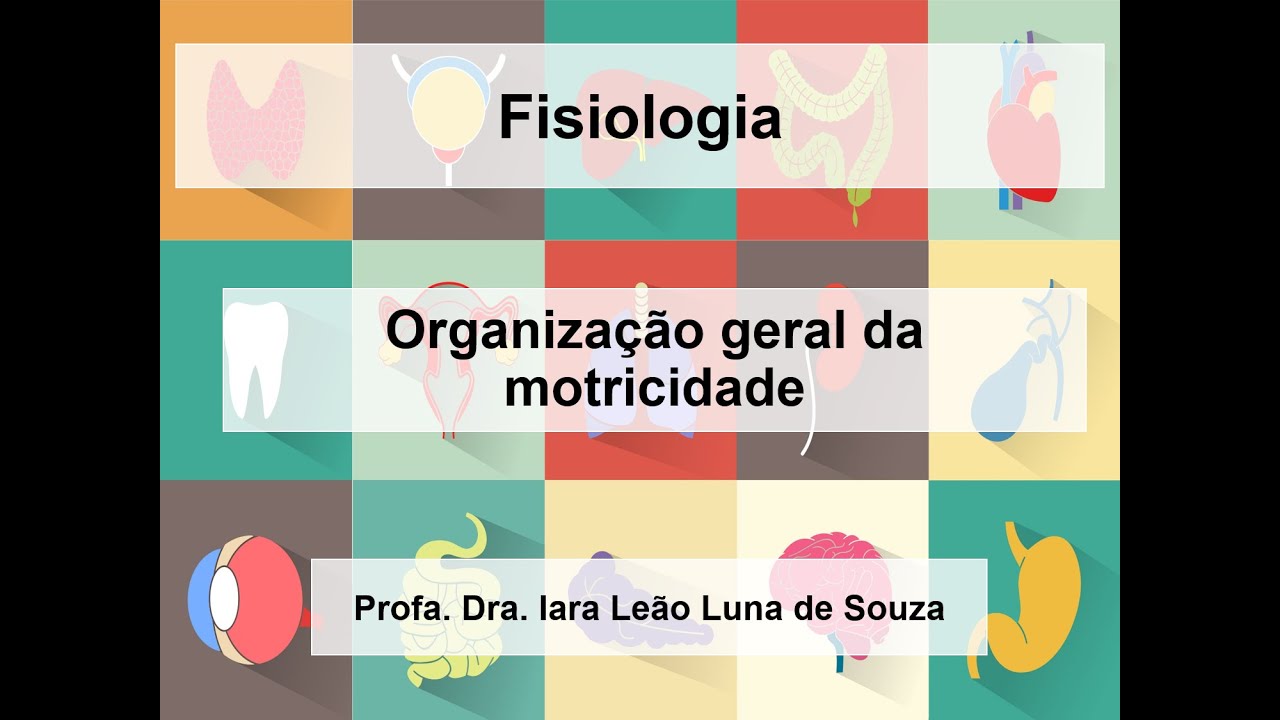 Organização geral da motricidade - parte 1
