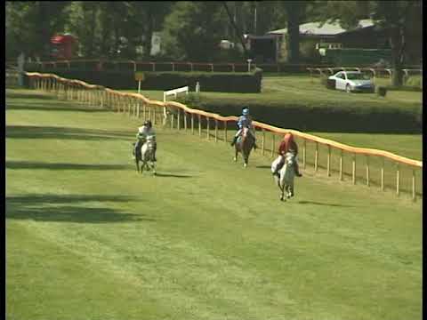 LL, 6. 7. 2019, Pony Liga - II. oddělení