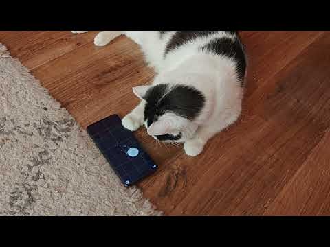 YouTube Preview Image