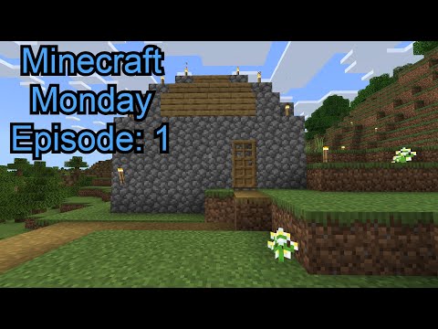 Minecraft Mondays: Journey to 100k Blocks!