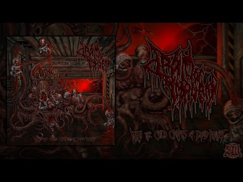 DRAIN OF IMPURITY - INTO THE COLD CRYPTS OF DEAD PLANET [OFFICIAL ALBUM STREAM] (2015) SW EXCLUSIVE