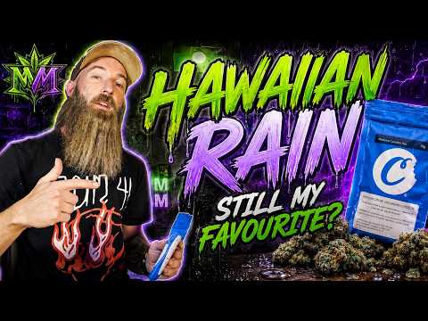 Hawaiian Rain Strain Allbud