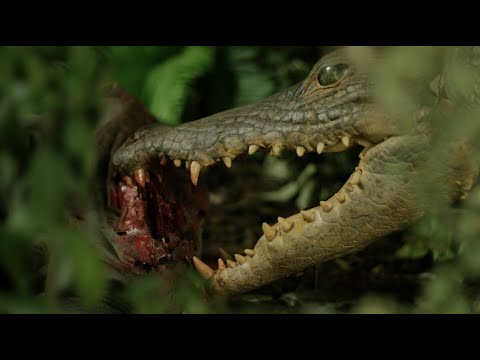 Солёные воды: Операция "Матадор" - Официальный русский трейлер (2022)