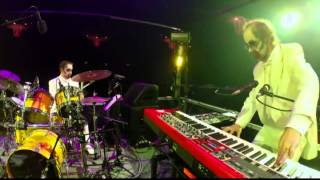 Your Pet Cat - 2014-10-31