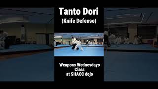 Tanto Dori (Knife Defense) #shacc #aikido #martialarts #aikidocebu