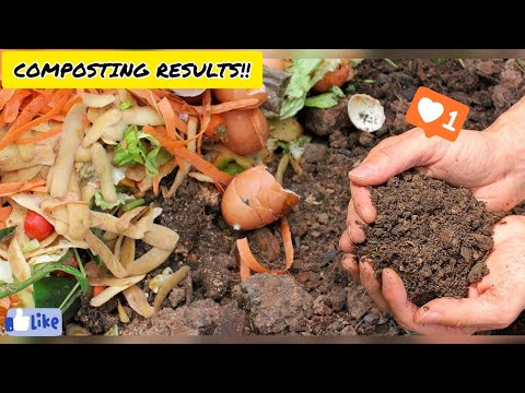 Composting 101 - Results on recent composting using soil..