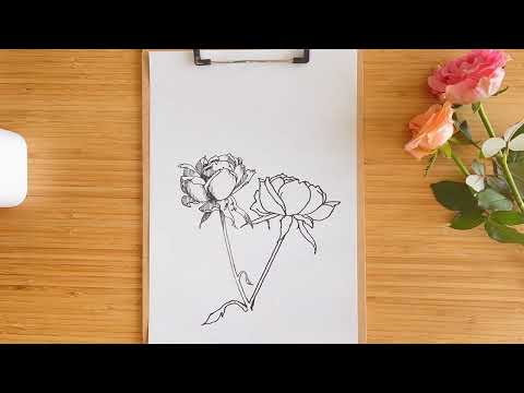 ギフト用のバラの絵と描く様子の動画を作成します イメージ1