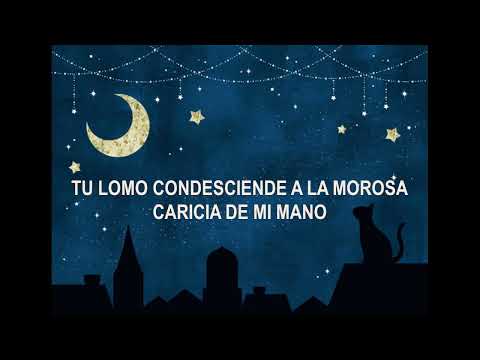 A Un Gato - Pedro Aznar