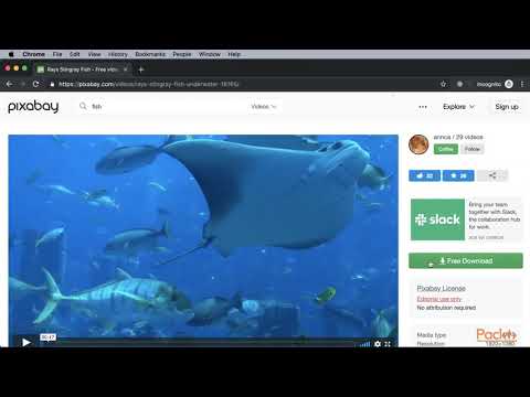 Getting Started with Adobe After Effects CC 2019 The Course Overview | packtpub com