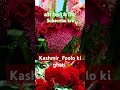 Bhabre Ne Khilaya Fool Kashmir Ghati Flowers Place India Tranding Stetus Shorts Beauty Old Song