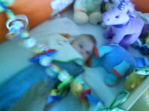 Karamelka řádí s hračkami