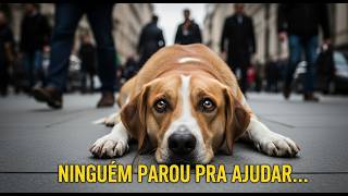 Essa história vai te destruir... e depois te curar  #HistóriasIncríveisDeAnimais