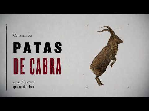 Patas De Cabra - La Chancha Muda