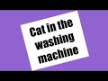 Cat In The Washing Machine