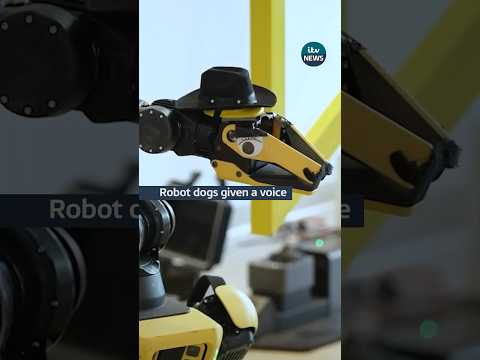 Boston Dynamics used ChatGPT to give their robot dog a voice #itvnews #robot #bostondynamics