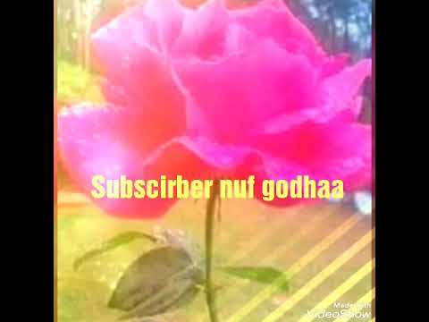 Sami go music oromo 2019