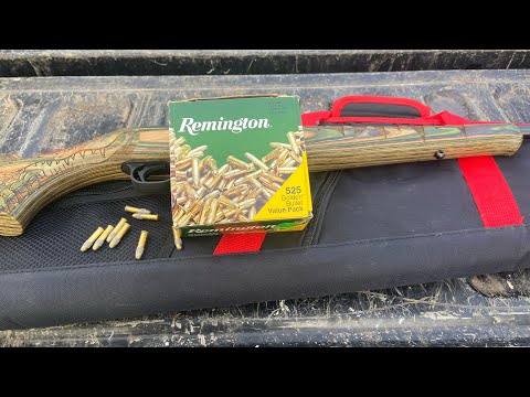 Shooting/Review Remington 22 Long Rifle Brass-Plated Hollow Points