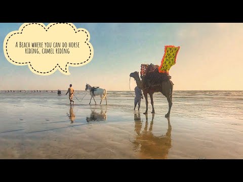 A beach where you can do camel and horse riding,buggy rides,plastic plane flying-Clifton DHA karachi