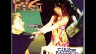 Reel Big Fish - All I want is more