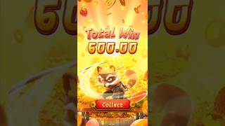 Ninja Raccoon Frenzy — Big Wins