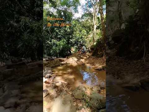 Cachoeira No Sítio Mirim São Vicente Férrer-PE #shorts