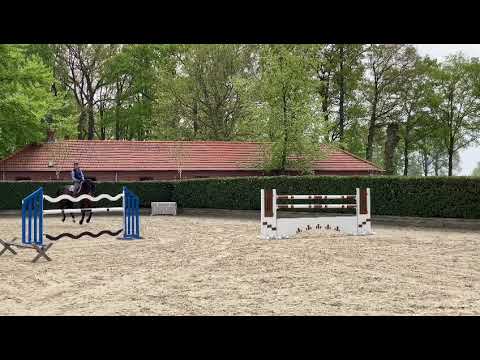 Barbara Beinwachs & Ausnahme-Hengst VAN GOGH von Numero Uno