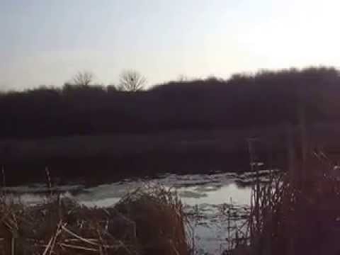 orasul Videle, judetul Teleorman