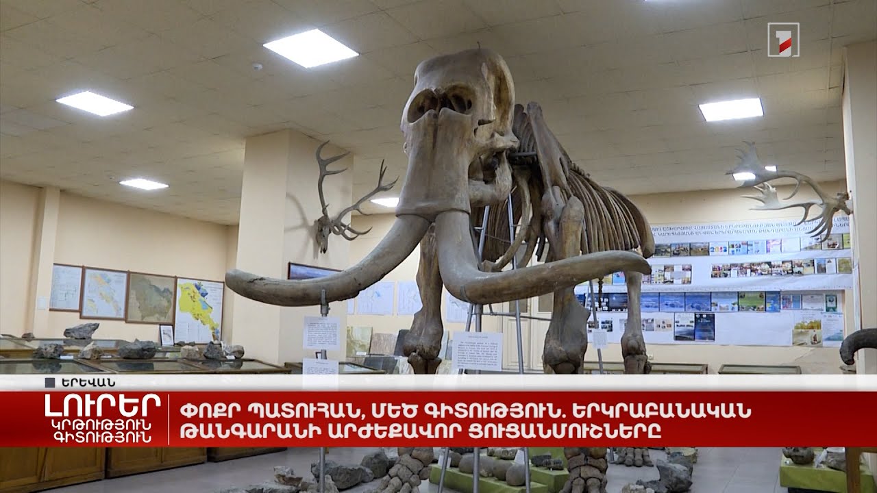 Փոքր պատուհան, մեծ գիտություն. Երկրաբանական թանգարանի արժեքավոր ցուցանմուշները