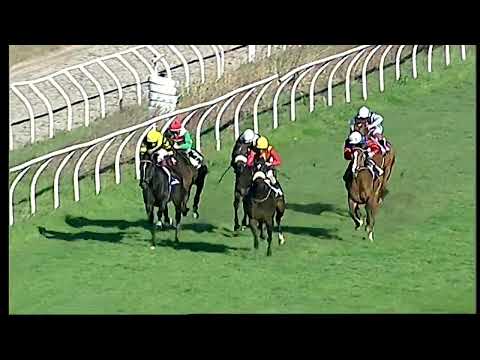 Napoli Galoppo 22/02/2022 - 4ª corsa