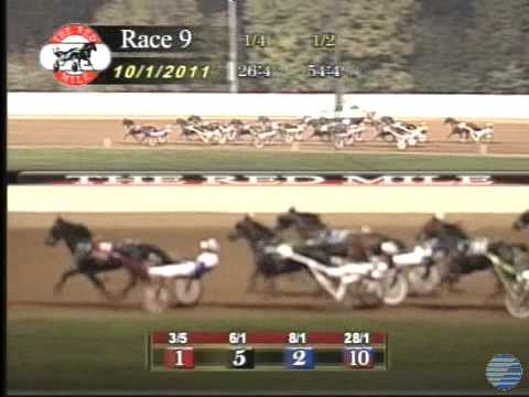 We Will See - 2011 Allerage Farm Open Pace