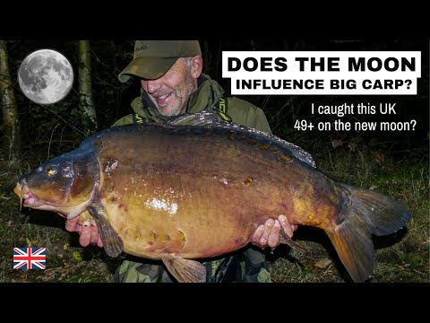 Does the moon influence big carp?