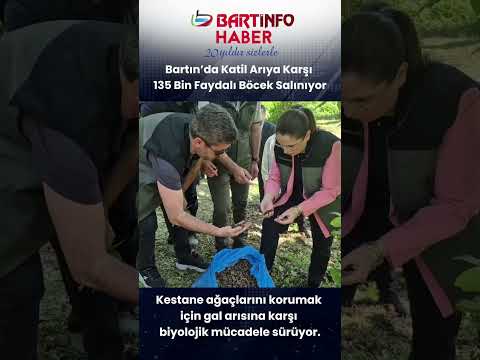 Bartın’da katil arılara karşı biyolojik mücadele sonuç veriyor