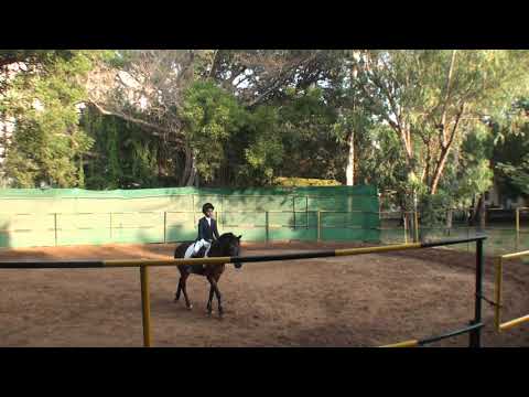 IDDL 2020,1IQ,IND SZ,EQB2,Tejesh,Chocolate