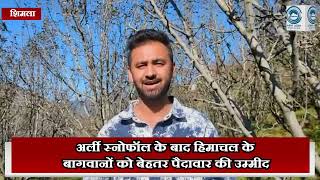 HimachalWeather/Snowfall/shimlaअर्ली स्नोफॉल के बाद हिमाचल के बागवानों को बेहतर पैदावार की उम्मीद