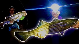 Fishing At Night For STRIPED BASS In New Jersey | Bait And Wait!!!