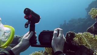 video
