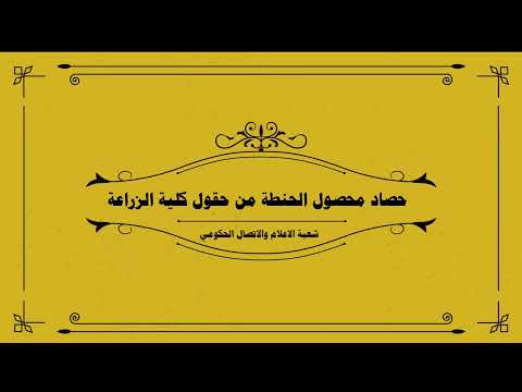 التقرير المرئي الثالث