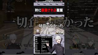 叶にいい子なことを暴露される葛葉【#葛葉 /#歌衣メイカ /#叶 /#shorts 】