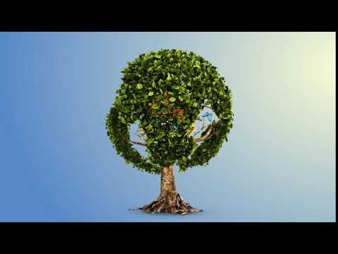 liceul tehnologic doamna chiajna