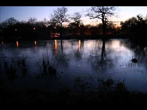 Anil Chawla - Raj Rani (Original Version)