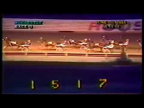 1988 Roosevelt Raceway DRAGONS LAIR Levy Final Donald Dancer