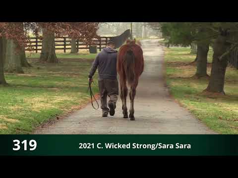 Hip #319 - Yearling colt by Wicked Strong - Sara Sara