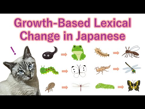Words That Change as Things Grow in Japanese ~ Learn Japanese with Toby ~