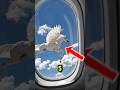 Top 5 Most Rare Mythical Creatures Caught On Camera😱