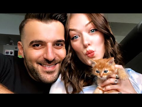 We adopted a kitten